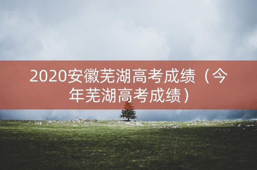 2020安徽芜湖高考成绩（今年芜湖高考成绩）