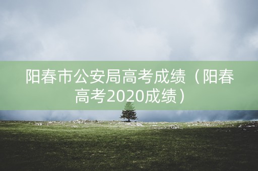 阳春市公安局高考成绩（阳春高考2020成绩）