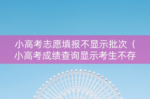 小高考志愿填报不显示批次（小高考成绩查询显示考生不存在）