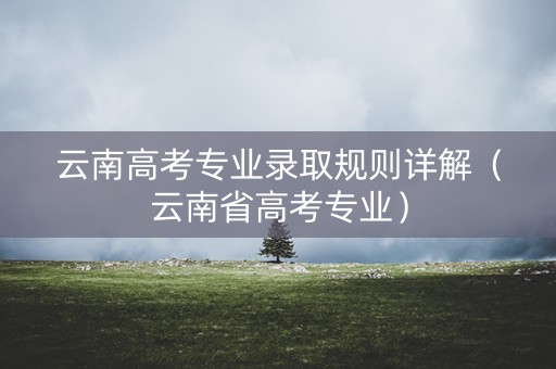 云南高考专业录取规则详解（云南省高考专业）