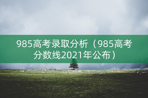 985高考录取分析（985高考分数线2021年公布）