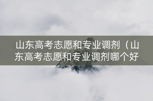山东高考志愿和专业调剂（山东高考志愿和专业调剂哪个好）