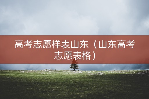 高考志愿样表山东（山东高考志愿表格）