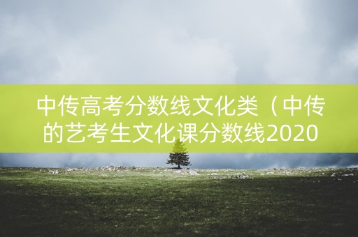 中传高考分数线文化类（中传的艺考生文化课分数线2020）
