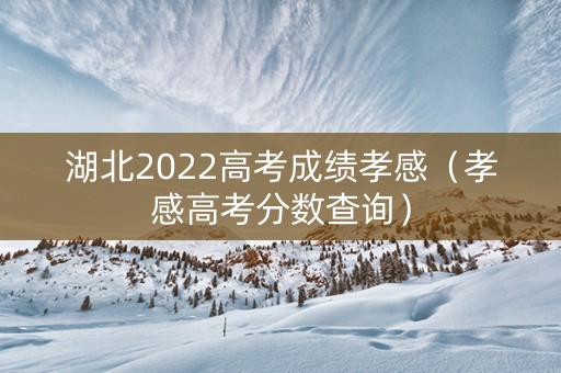 湖北2022高考成绩孝感（孝感高考分数查询）