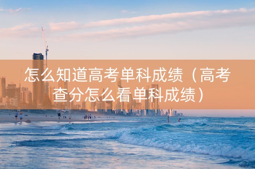 怎么知道高考单科成绩（高考查分怎么看单科成绩）
