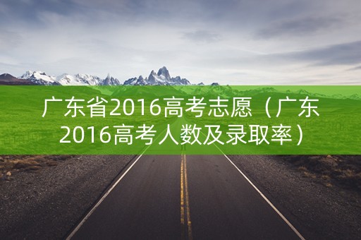 广东省2016高考志愿（广东2016高考人数及录取率）