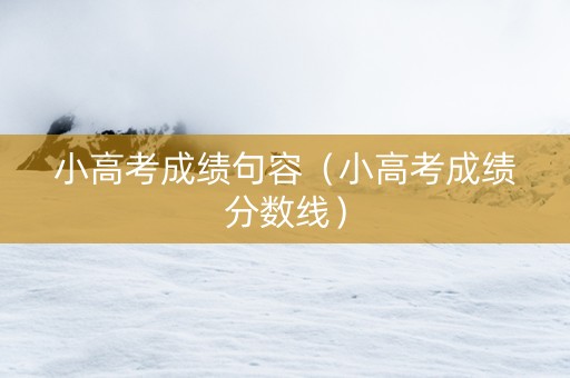 小高考成绩句容（小高考成绩分数线）