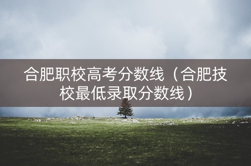 合肥职校高考分数线（合肥技校最低录取分数线）