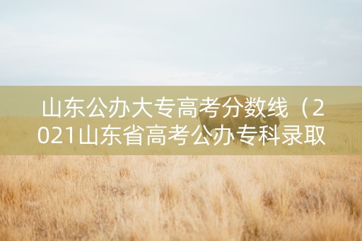 山东公办大专高考分数线（2021山东省高考公办专科录取分数线）
