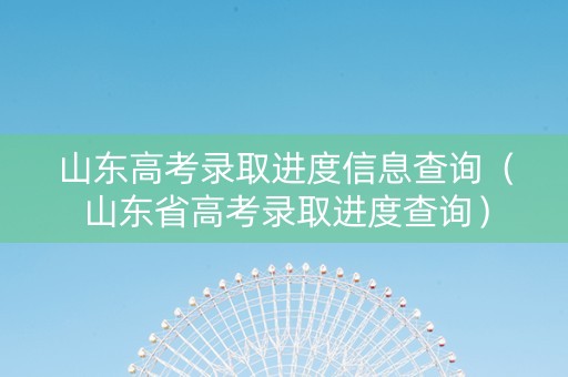 山东高考录取进度信息查询（山东省高考录取进度查询）