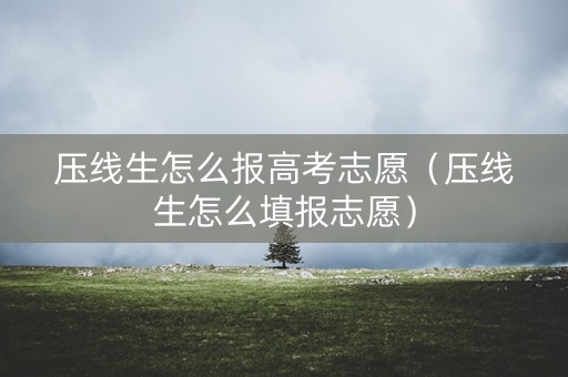 压线生怎么报高考志愿（压线生怎么填报志愿）