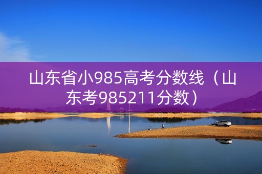 山东省小985高考分数线（山东考985211分数）