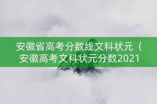 安徽省高考分数线文科状元（安徽高考文科状元分数2021）