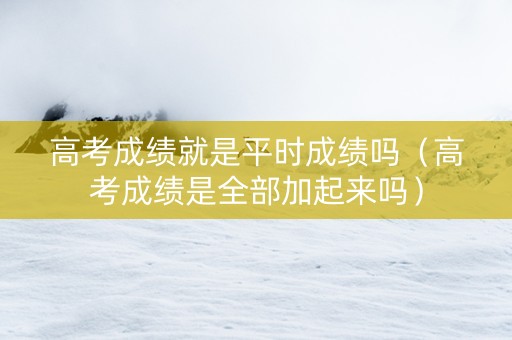 高考成绩就是平时成绩吗（高考成绩是全部加起来吗）