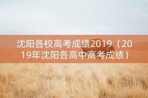 沈阳各校高考成绩2019（2019年沈阳各高中高考成绩）