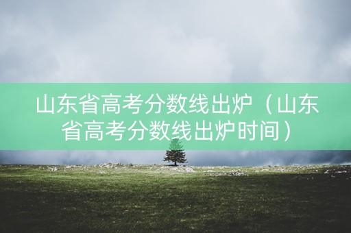山东省高考分数线出炉（山东省高考分数线出炉时间）