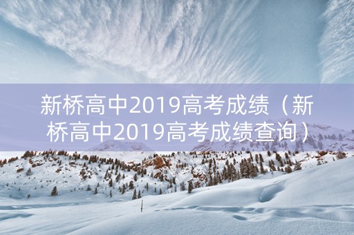 新桥高中2019高考成绩（新桥高中2019高考成绩查询）