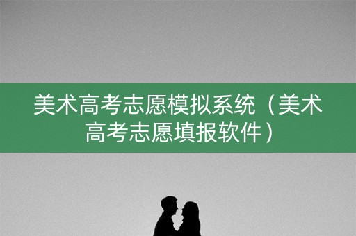 美术高考志愿模拟系统（美术高考志愿填报软件）