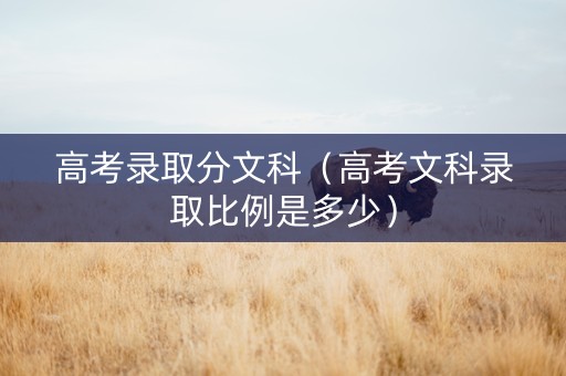 高考录取分文科（高考文科录取比例是多少）