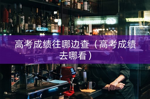 高考成绩往哪边查（高考成绩去哪看）