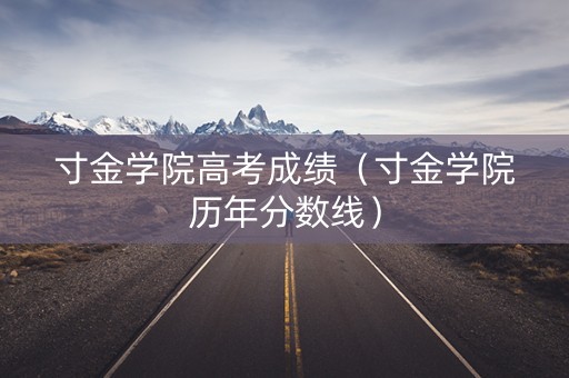 寸金学院高考成绩（寸金学院历年分数线）