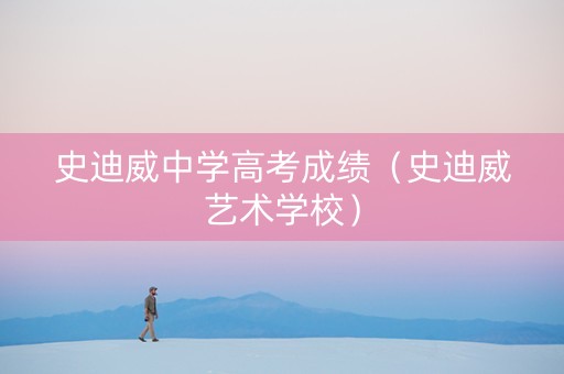 史迪威中学高考成绩（史迪威艺术学校）