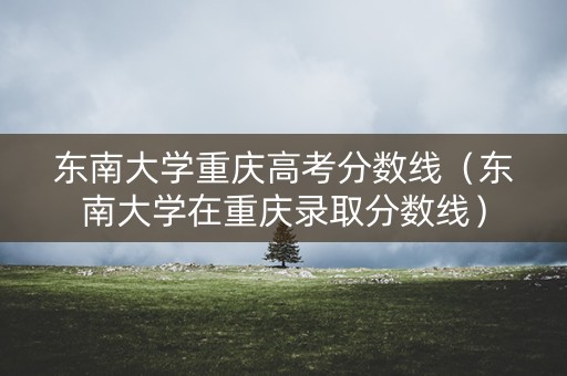 东南大学重庆高考分数线（东南大学在重庆录取分数线）