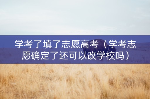 学考了填了志愿高考（学考志愿确定了还可以改学校吗）