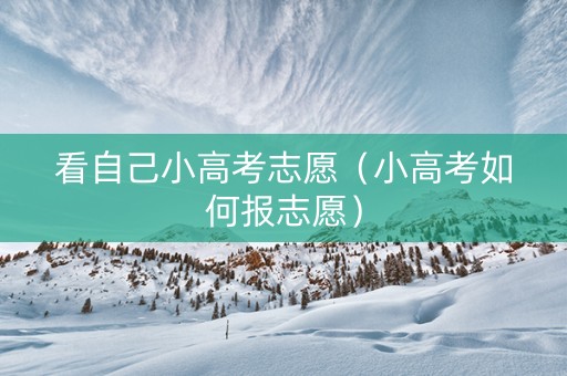 看自己小高考志愿（小高考如何报志愿）