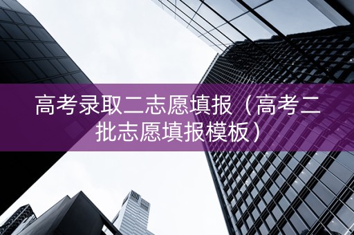 高考录取二志愿填报（高考二批志愿填报模板）