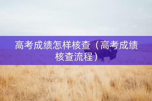 高考成绩怎样核查（高考成绩核查流程）