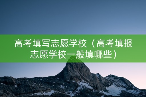 高考填写志愿学校（高考填报志愿学校一般填哪些）