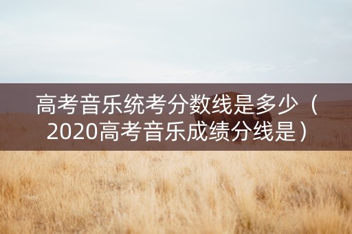 高考音乐统考分数线是多少（2020高考音乐成绩分线是）