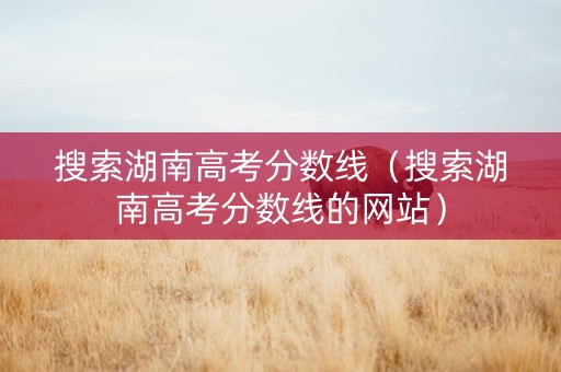 搜索湖南高考分数线（搜索湖南高考分数线的网站）