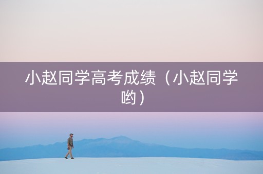 小赵同学高考成绩（小赵同学哟）