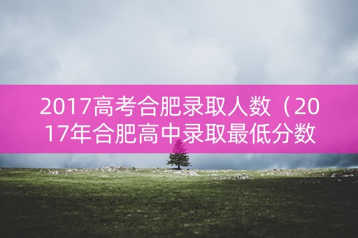 2017高考合肥录取人数（2017年合肥高中录取最低分数线）