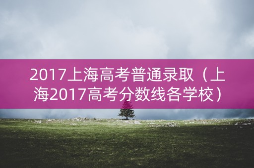 2017上海高考普通录取（上海2017高考分数线各学校）
