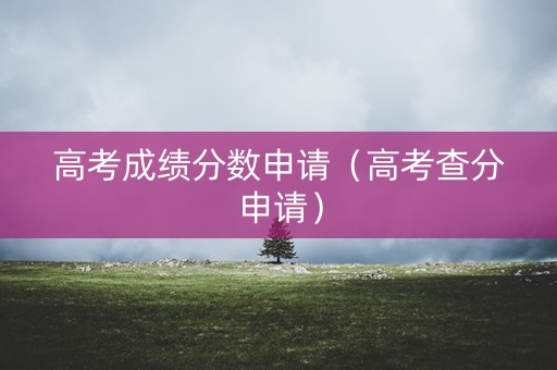 高考成绩分数申请（高考查分申请）
