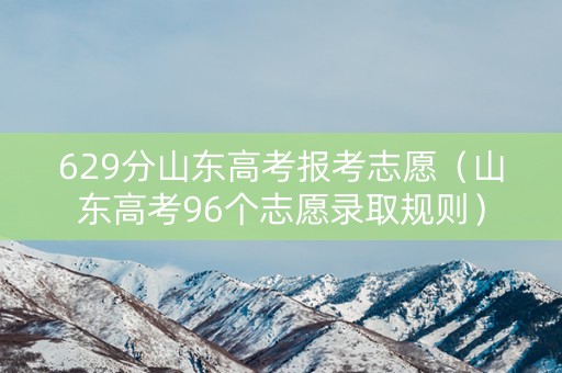 629分山东高考报考志愿（山东高考96个志愿录取规则）