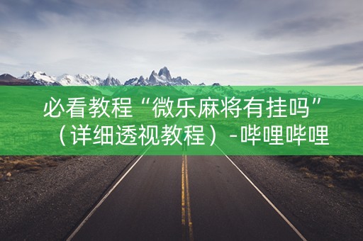 必看教程“微乐麻将有挂吗”（详细透视教程）-哔哩哔哩