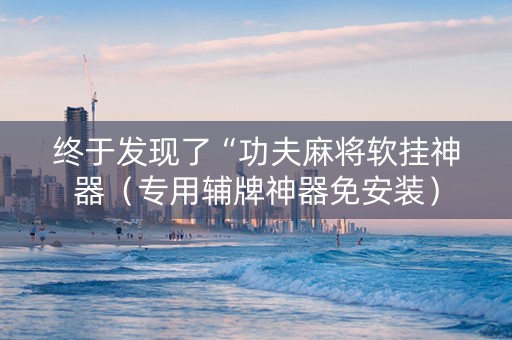 终于发现了“功夫麻将软挂神器（专用辅牌神器免安装）