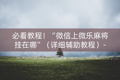 必看教程！“微信上微乐麻将挂在哪”（详细辅助教程）-哔哩哔哩