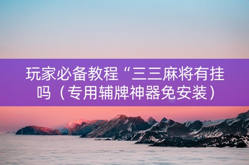 玩家必备教程“三三麻将有挂吗（专用辅牌神器免安装）