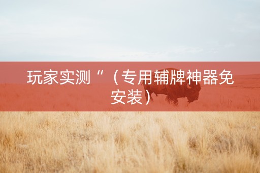 玩家实测“（专用辅牌神器免安装）