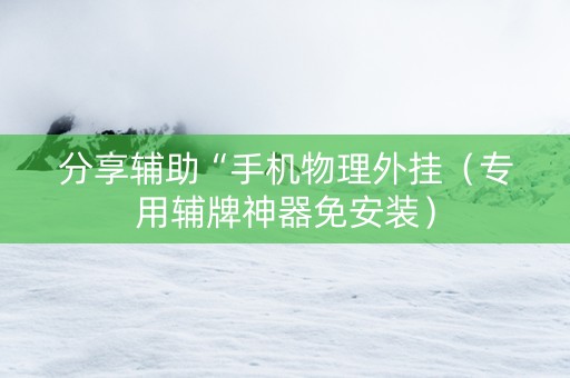 分享辅助“手机物理外挂（专用辅牌神器免安装）