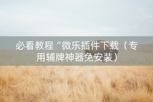 必看教程“微乐插件下载（专用辅牌神器免安装）