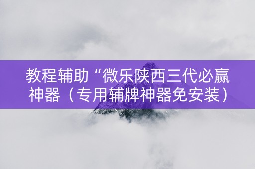教程辅助“微乐陕西三代必赢神器（专用辅牌神器免安装）
