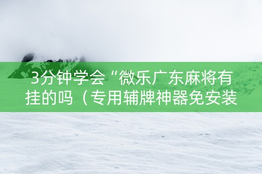 3分钟学会“微乐广东麻将有挂的吗（专用辅牌神器免安装）