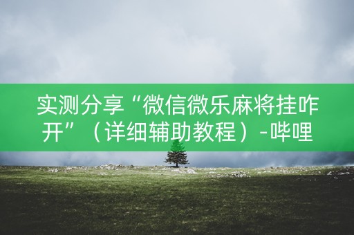 实测分享“微信微乐麻将挂咋开”（详细辅助教程）-哔哩哔哩